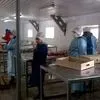 мясоперерабатывающее предприятие Курск в Курске 7