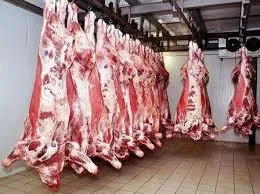 фотография продукта мясо говядина
