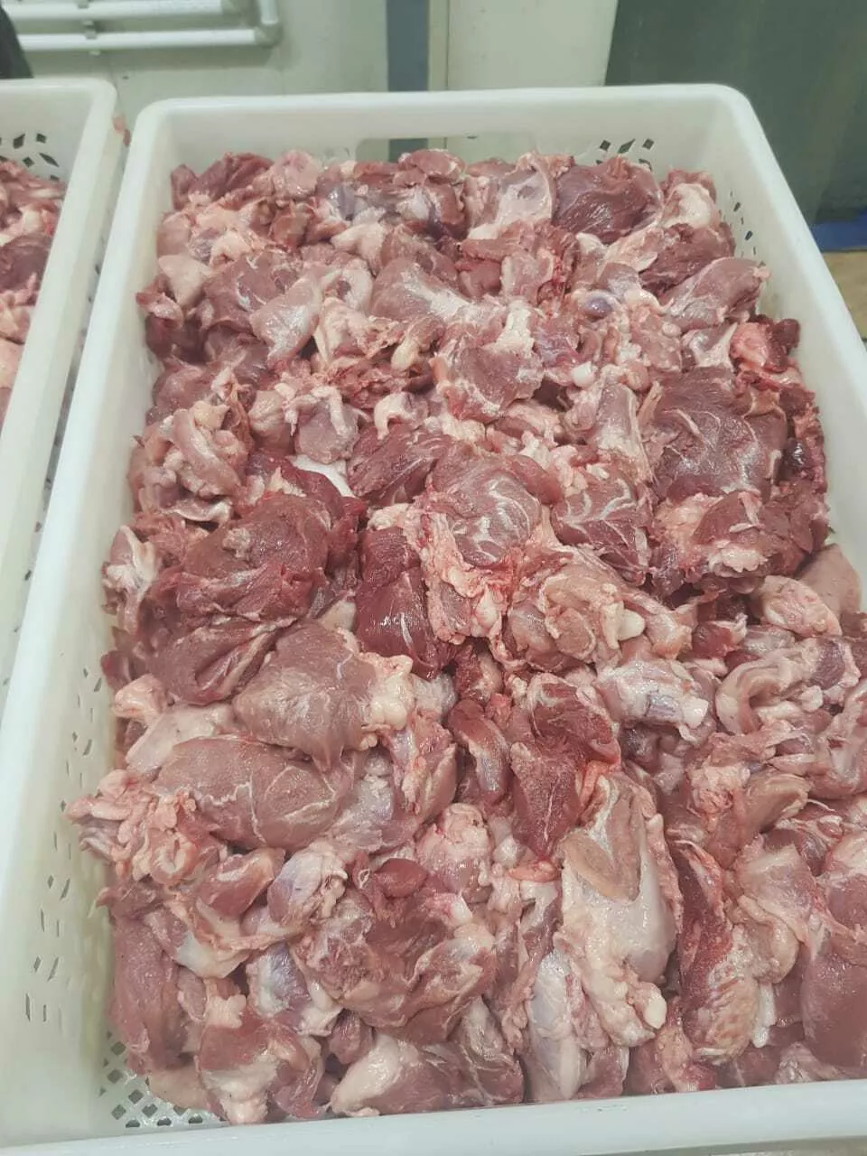 мясо голов свиных в Курске и Курской области