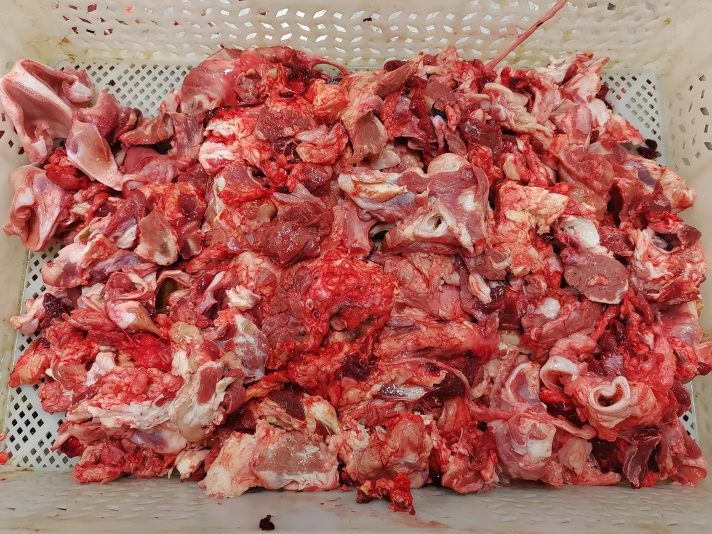 мясо с голов говядины корм для собак  в Курске и Курской области